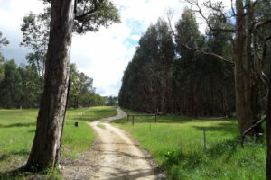 Wadandi track - south of Margaret River