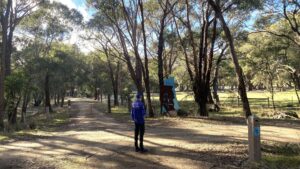 The Rainbow Bird Trail turns off the rail trail after Newtown [2024]