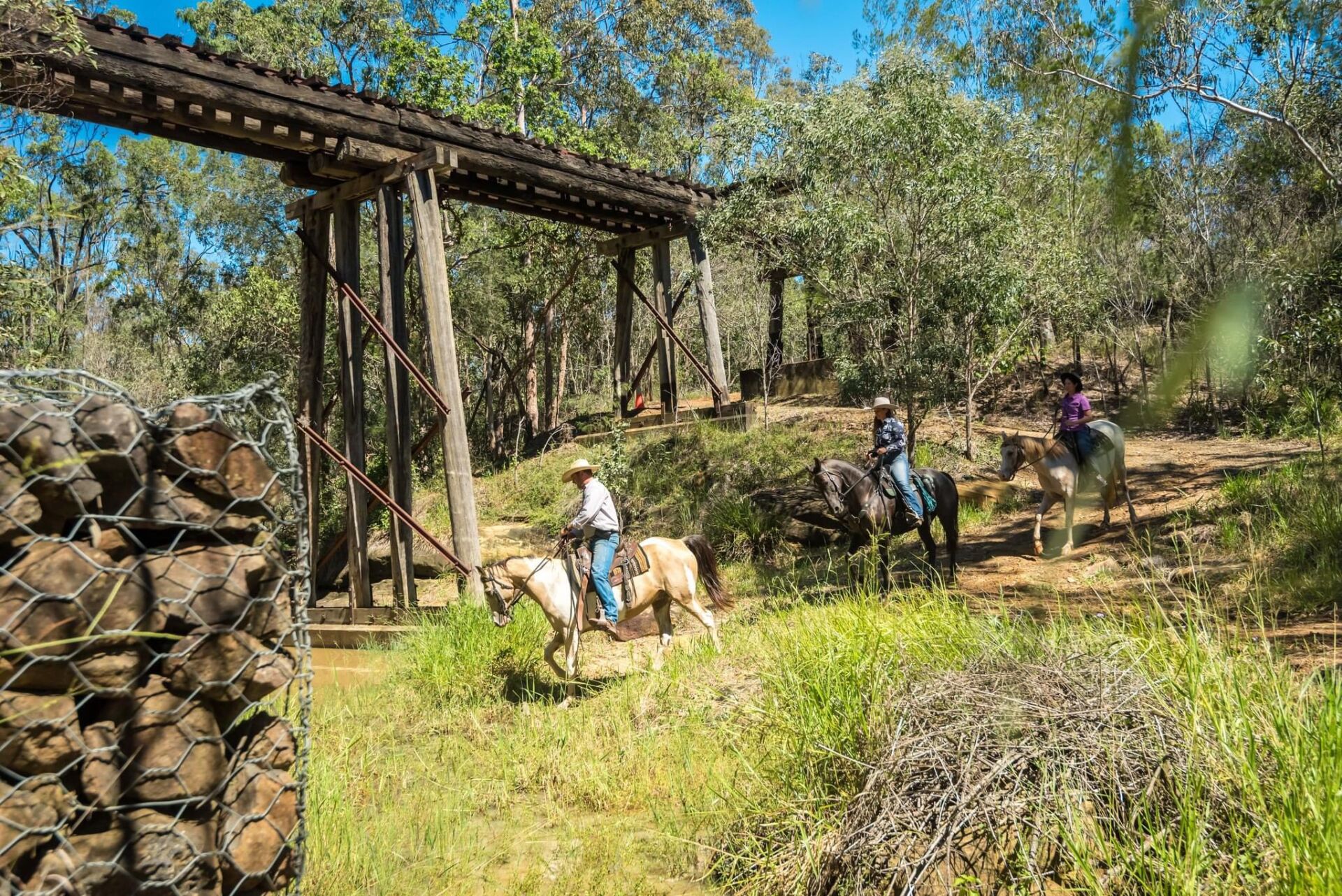 News from the Brisbane Valley Rail Trail – Rail Trails Australia