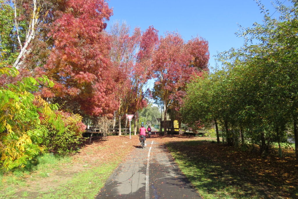 Adelaide Hills Bike Infrastructure Needs Analysis